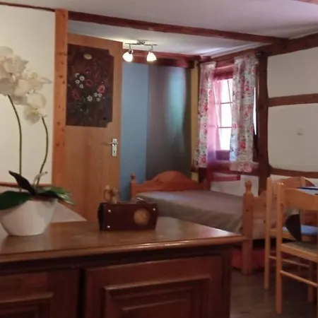 Farma Pod Wulkanem Farma Leśna